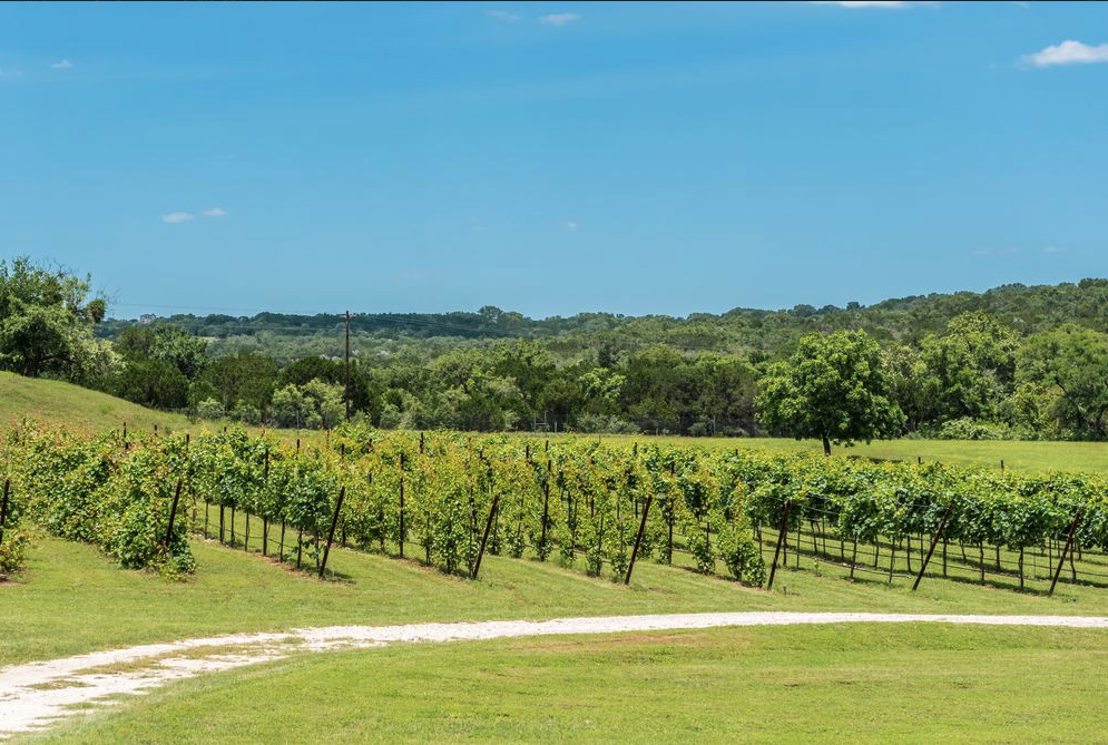 Texas Hill Country Wineries