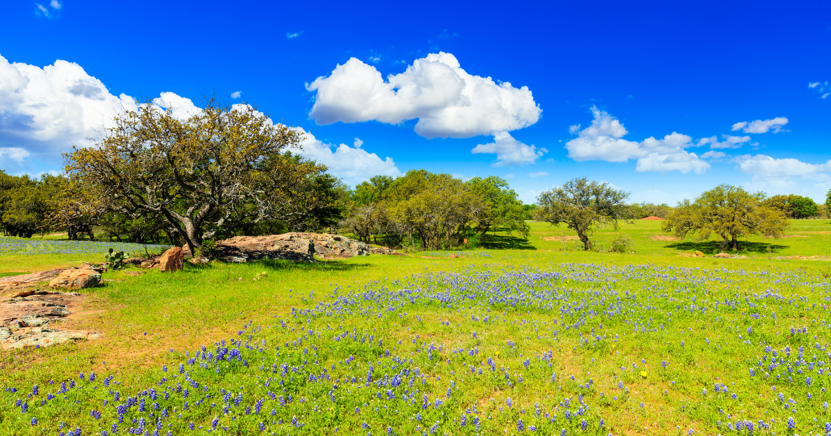 Grelle Recreation Area – A Hiker’s Dream